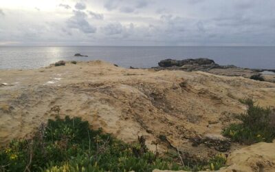 Jak długo mogą utrzymywać się zakwasy ud?