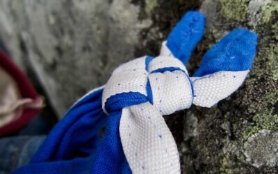 Jak dobrać idealne rękawiczki do wspinaczki?