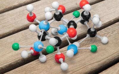 Aminokwasy ograniczające gdzie występują najczęściej?