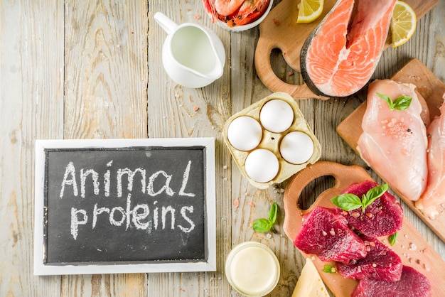 Białko zwierzęce w jakich produktach można je znaleźć?