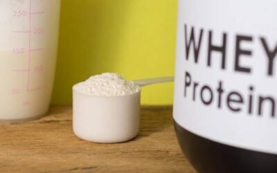 Co posiada białko i dlaczego jest tak ważne dla organizmu?