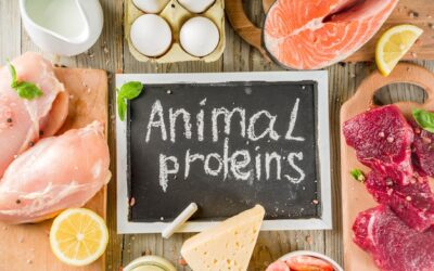 Co zawiera dużo protein i dlaczego warto to uwzględnić w diecie?