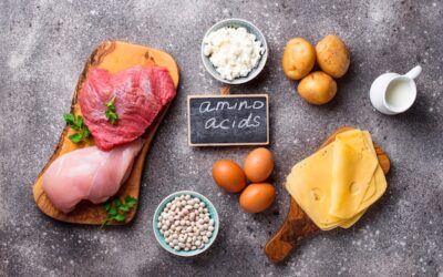 Czy mięso to białko i co jeszcze warto o nim wiedzieć?