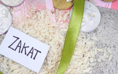 Czy ryż ma dużo białka?