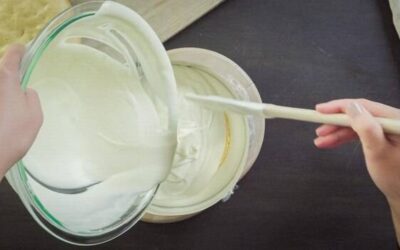 Hydrolizat białka roślinnego co to oznacza w składzie produktów spożywczych?