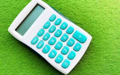 Jak działa kalkulator ile białka węglowodanów tłuszczy?