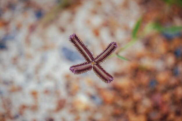Jak obliczyć makro i mikro w codziennej diecie?