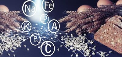 Makroelementy jakie są i dlaczego są ważne w codziennej diecie?