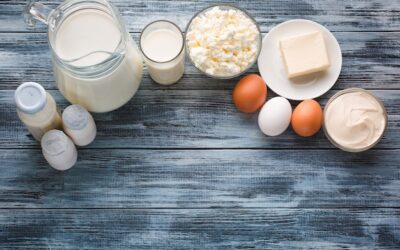 W czym występują białka i dlaczego są ważne w diecie?