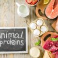 Białko zwierzęce gdzie występuje na co dzień?