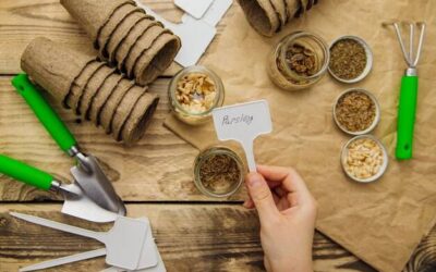 Jak obliczyć makroskładniki na redukcji i czy to naprawdę takie trudne?