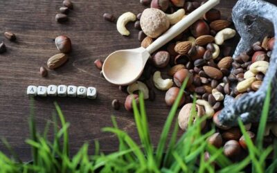 Jakie makroskładniki na redukcji są najważniejsze?