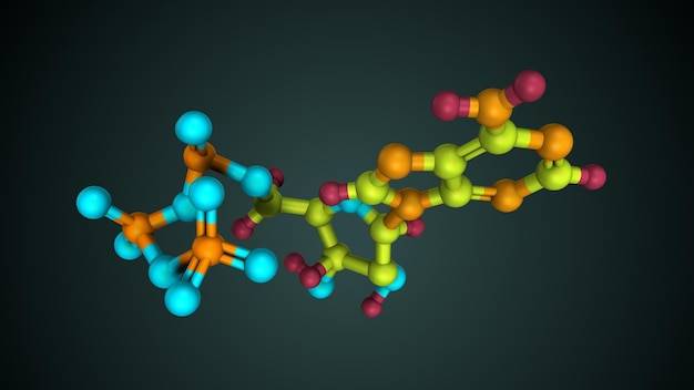 Białka z czego są zbudowane i dlaczego mają tak ważne funkcje?