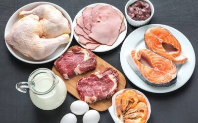 W jakich produktach występują białka zwierzęce?