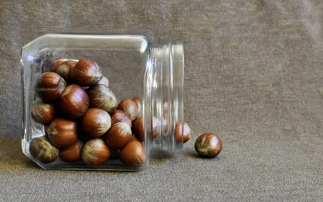 Ile białka na kilogram masy warto spożywać na masę mięśniową?