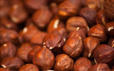 Jakie produkty zawierają proteiny i dlaczego warto je włączyć do diety?