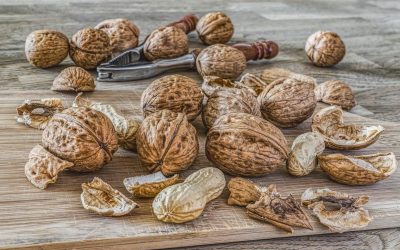 W jakich produktach występuje białko i dlaczego warto je włączyć do diety?